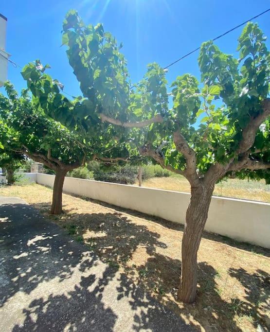 Τέσσερις Εποχές Appartement Aetos  Buitenkant foto